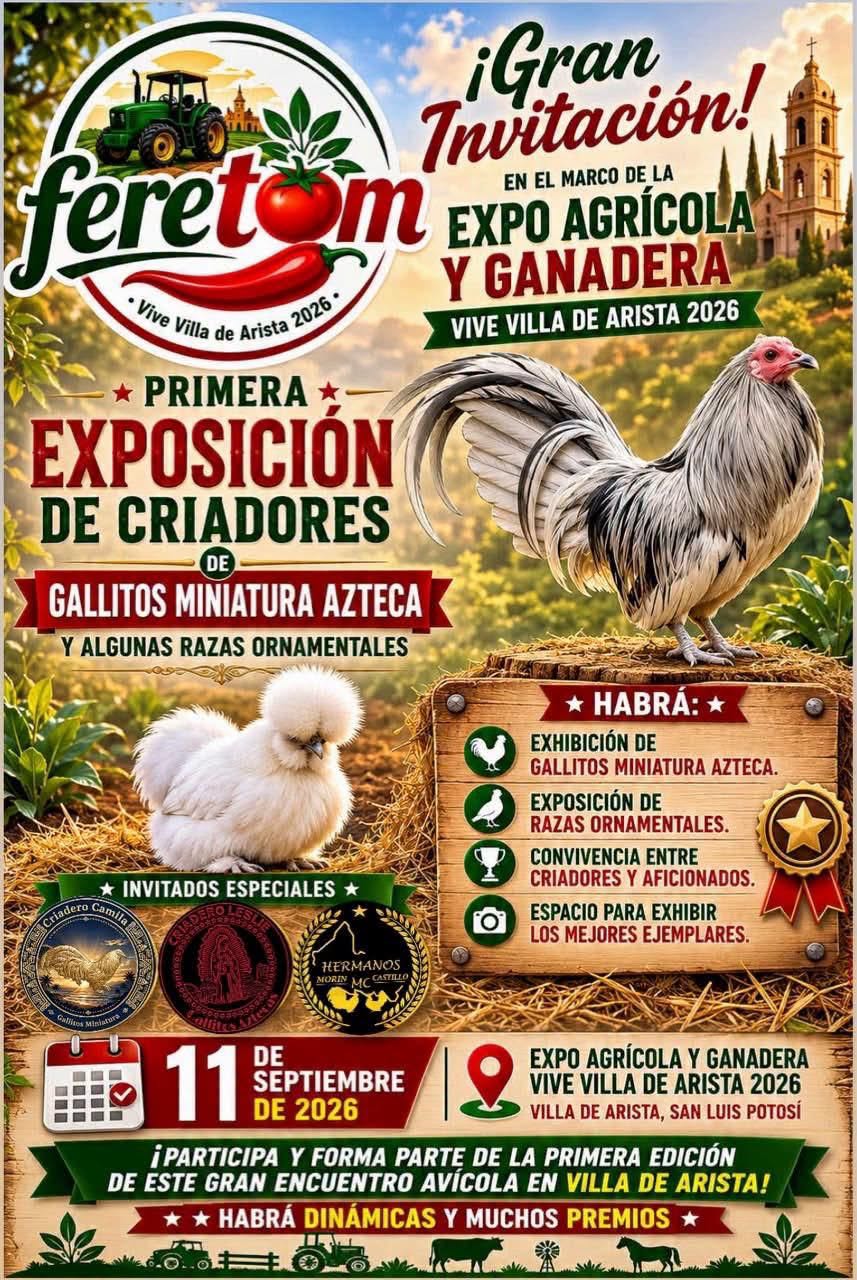 expo criadores